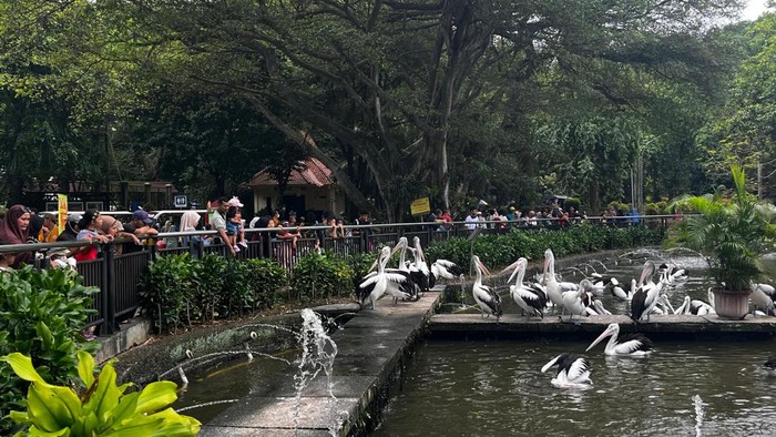 7.000 Wisatawan Menikmati Hari Cuti Bersama Waisak di Ragunan, Jakarta.