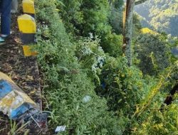 8 Wisatawan Gunung Bromo Luka Berat Usai Landcruiser Terjun ke Jurang