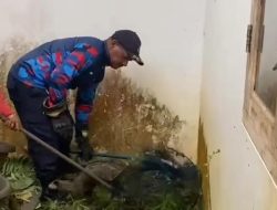 Warga Bogor Terkejut, 3 Musang Masuki Rumah Mereka! Damkar Siagakan