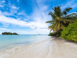 Prancis Bersihkan Pantai dan Taman dari Asap, Mulai 29 Juni!