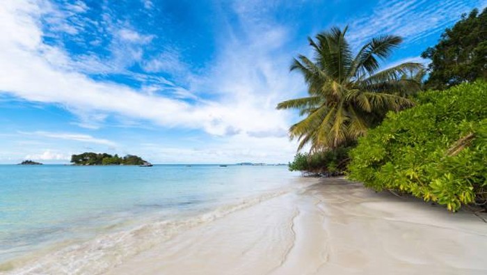 Prancis Bersihkan Pantai dan Taman dari Asap, Mulai 29 Juni!