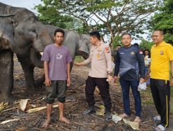 Polisi dan PLG Minas Riau Bersatu Lawan Konflik Gajah Liar