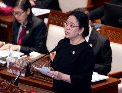 “Puan Minta Aksi Pemerintah Tangani Virus Hanta, Rapid Test Harus Diperbanyak!”