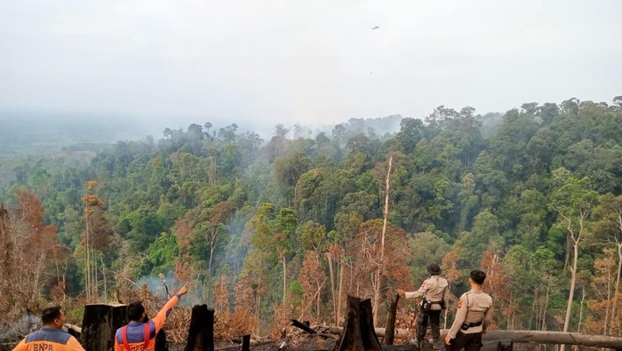 Polisi dan BPBD Banting Water Bombing, Atasi Karhutla 28 Ha di Rohul