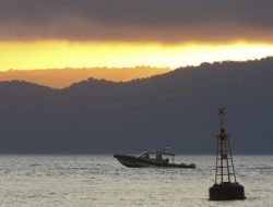**Kesaksian Penumpang KMP Tunu Pratama Jaya: Kapal Oleng Lalu Cepat Tenggelam, tragedi haru yang terjadi di selat bali**