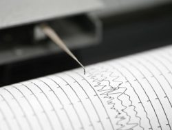 Gempa M 5,5 di Jepang: Penduduk Pulau Mengungsi, 89 Warga Relung dari Rumah