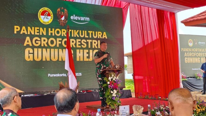 TNI AD Bentuk Peradaban Baru dengan Agroforestri 200 Hektare di Purwakarta!